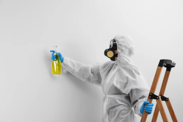 Best Asbestos and Lead Testing During Mold Inspection  in Providence, UT